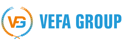 Vefa